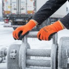 Rękawice robocze Worklink Winter Draco
