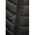 Softshell roboczy Polstar Seven Kings Topaz Stal